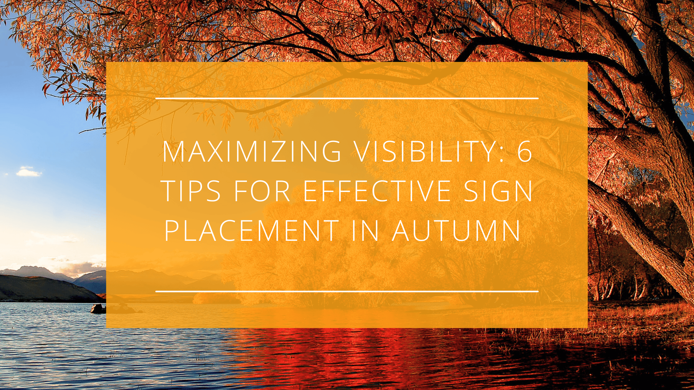 Maximizing Visibility: 6 Tips for Effective Sign Placement in Autumn